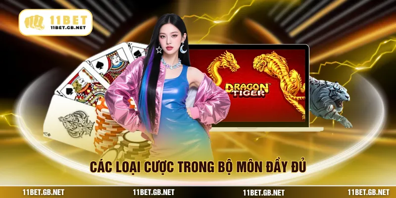Các loại cược trong bộ môn đầy đủ