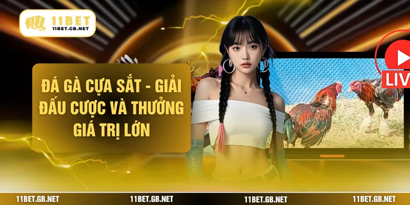 Đá Gà Cựa Sắt - Giải Đấu Cược Và Thưởng Giá Trị Lớn