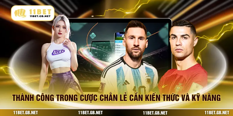 Thành công trong cược chẵn lẻ cần kiến thức và kỹ năng